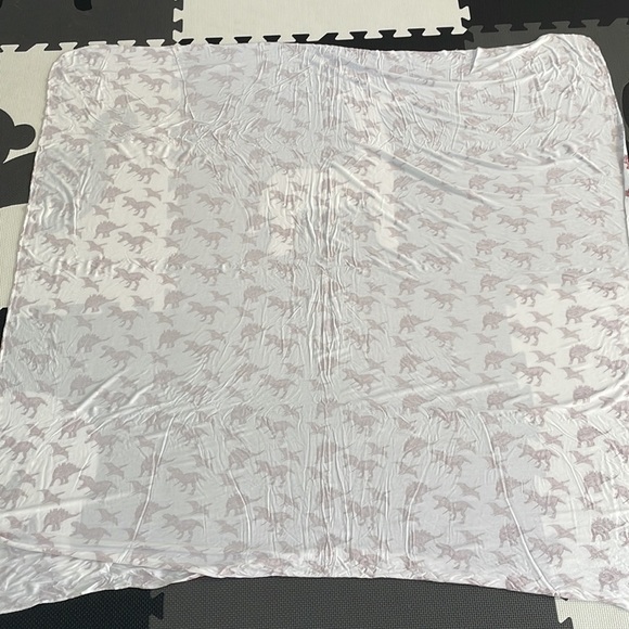 Kate Quinn Dinosaur Swaddle - Picture 6 of 6
